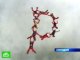 Российские парашютисты строят в небе фигуры букв