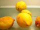 Россельхознадзор выявил крупную партию ядовитых лимонов.