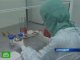 Новая вспышка птичьего гриппа зафиксирована в Польше
