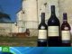 Виноградники под Бордо приобрели китайские предприниматели
