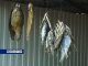 Массовые отравления копченой рыбой произошли сразу в двух районах Ростовской области