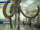Азовский исторический и палеонтологический музей-заповедник победил на всероссийском музейном фестивале