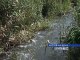 Дополнительная очистка реки Темерник требует 50 миллионов рублей инвестиций