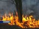 В Тарасовском районе произошло возгорание леса 