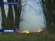 В Ростовских лесах установят систему мониторинга лесных пожаров "Ясень"