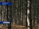 Донские лесозаготовители будут работать по новому лесному законодательству