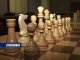 Ростовская шахматистка примет участие в чемпионате мира по шахматам