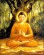Сиддхартха Гаутама (Будда). Биография