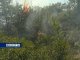 Лесной пожар в Ростовской области