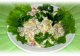 Рецепты: Салат из сырого сельдерея с медом