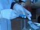 Вакцинация от свиного гриппа проводится в Ростовской области