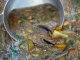 Рецепты: Утка с лапшой (вермишелью), грибами и вином