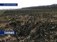 В Ростовской области продолжаются весенние полевые работы