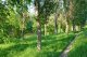 Тропинка в парке Молодежном. Фото калитва.ру