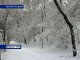 Прокуратура Ростовской области усматривает нарушение в некачественной уборке снега