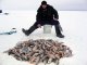 В Ростовской области прошли соревнования по зимней рыбалке