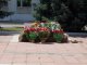 Возложение цветов к мемориалу. Фото калитва.ру