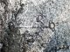В Индии обнаружен дольмен с загадочными петроглифами