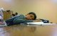 студент спит на занятиях