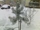 Не первый, но обильный снег в Белой Калитве. Видео