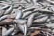 В Багаевском районе сторож комплекса для нереста рыб попался на браконьерстве