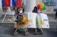 Конкурс детских колясок в честь праздника Дня города