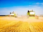 Ростовская область завершила уборку зерновых с парадоксальными результатами