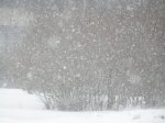 По сообщению Ростовского гидромета снега будет еще больше