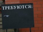 В Ростовской области чиновники отчитались о снижении уровня безработицы 