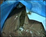 В Краснодарском крае  сотрудник наркоконтроля, хранил в своем гараже наркотики