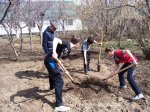 Новости Нижнепоповской школы: новые розетки и посадка деревьев