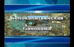 Видео новости - Белокалитвинская панорама от 14.05.2013