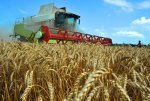 Правительство РФ направит аграриям Краснодарского края  6,4 млрд рублей господдержки
