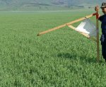 Бесхозные земли в Ростовской области отдадут под дачи и огороды
