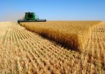 В Ростовской области убрано 83% зерновых от уборочной площади