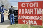 Информация об очаге АЧС в Михайловском районе Волгоградской области подтверждена официально