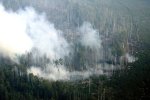 В Волгоградской области ожидаються лесные пожары