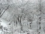 В Ростовской области ожидается сильный снегопад из-за циклона