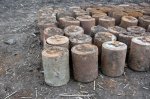 В Ростовской области обнаружили более 500 снарядов времен Великой Отечественной войны