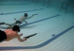В Волгограде пройдет чемпионат по спортивной подводной стрельбе