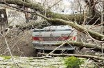 Ураган  оставил без света  5 районов Волгоградской области