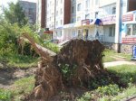В трех районах Волгоградской области устраняют последствия урагана