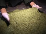 В краснодарском крае местный житель хранил  в гараже 5 кг марихуанны