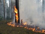 ОГПН по Белокалитвинскому району предупреждает о ландшафтных пожарах