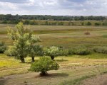 Волго-Ахтубинскую пойму ждет самое засушливое лето