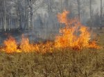 На территории Волгоградской области сохраняется высокая пожароопасность