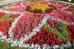 В Сочи на городских клумбах  160 тысяч цветов