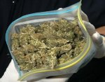 В Анапе сотрудники наркополиции задержали наркодиллера с 4-мя киллограмами марихуанны