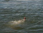 В Белокалитвинском районе утонул подросток