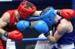 Чемпионат России по боксу собрал более 300 лучших боксеров со всей страны